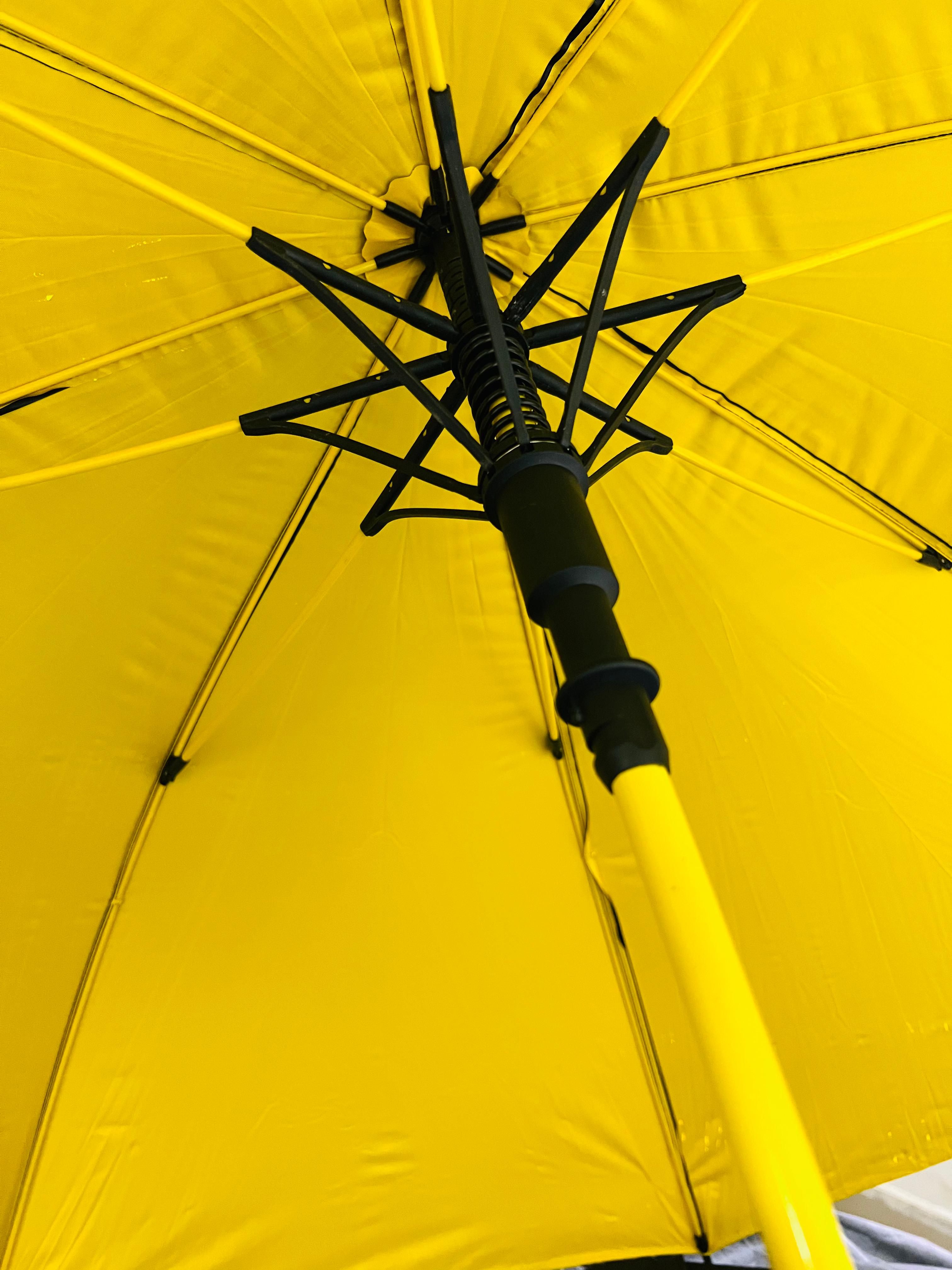 60 Inch Extra Large Umbrella Double side UV Protection Umbrellas for Women Men Windproof, Rain and Sunlight (WITH COVER) Luxury Style BWM